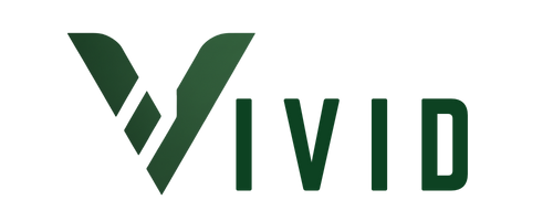 vividmedia – google marketing agency